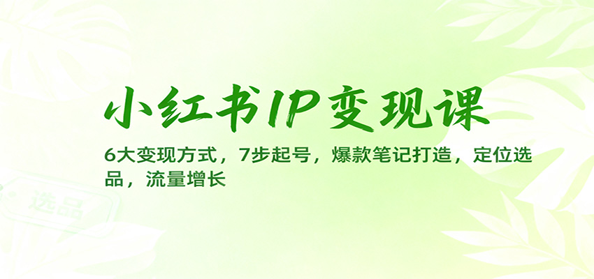 小红书IP变现课:6大变现方式,7步起号,爆款笔记打造,定位选品,流量增长-红豆科技-抖佳互动