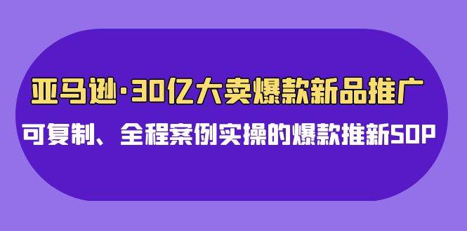 亚马逊30亿·大卖爆款新品推广，可复制、全程案例实操的爆款推新SOP-红豆科技-抖佳互动