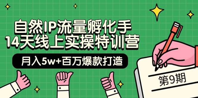 自然IP流量孵化手 14天线上实操特训营【第9期】月入5w+百万爆款打造 (74节)-红豆科技-抖佳互动