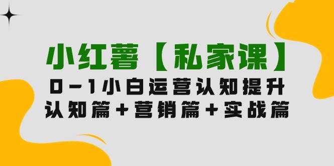 小红薯【私家课】0-1玩赚小红书内容营销，认知篇+营销篇+实战篇（11节课）-红豆科技-抖佳互动