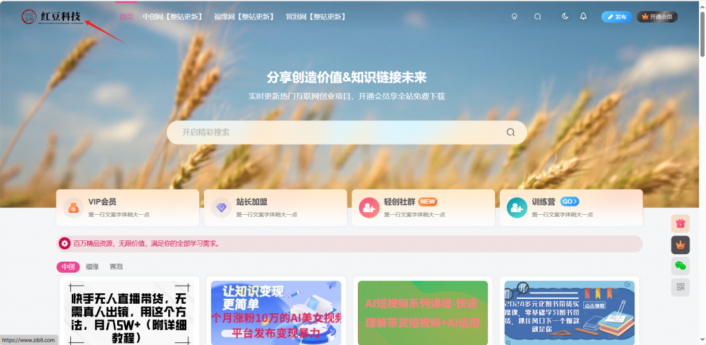 图片[1]-网创知识付费系统子比主题管理后台操作详解-红豆科技-抖佳互动