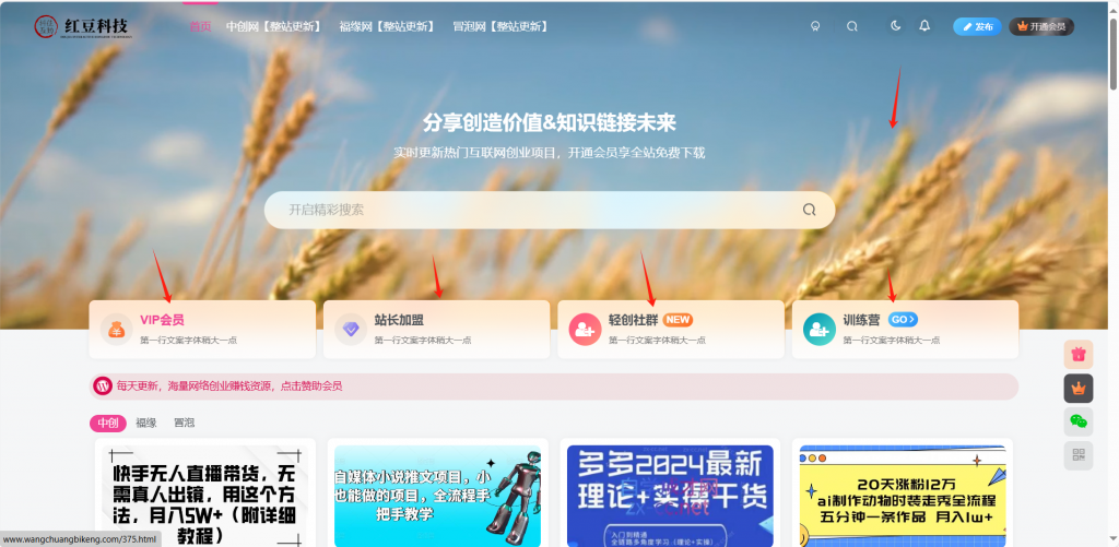 图片[7]-网创知识付费系统子比主题管理后台操作详解-红豆科技-抖佳互动