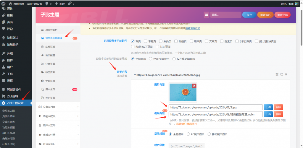 图片[8]-网创知识付费系统子比主题管理后台操作详解-红豆科技-抖佳互动