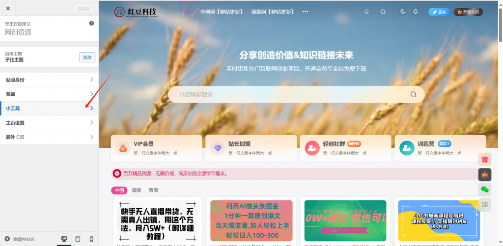 图片[12]-网创知识付费系统子比主题管理后台操作详解-红豆科技-抖佳互动