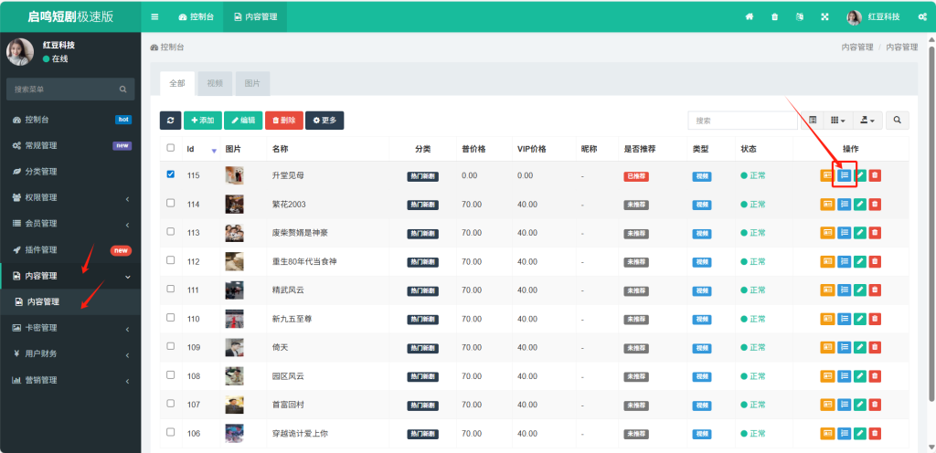 图片[3]-红豆短剧极速版系统使用教程-红豆科技-抖佳互动
