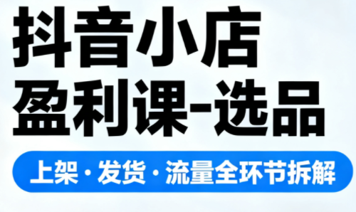 抖音小店盈利课-选品·上架·发货·流量全环节拆解-红豆科技-抖佳互动